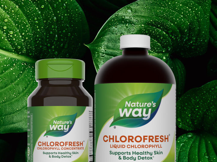 All About Sugar Alternatives