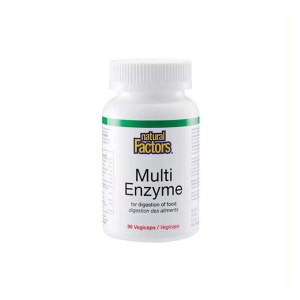 NATURAL FACTORS MULTI ENZYME 90S