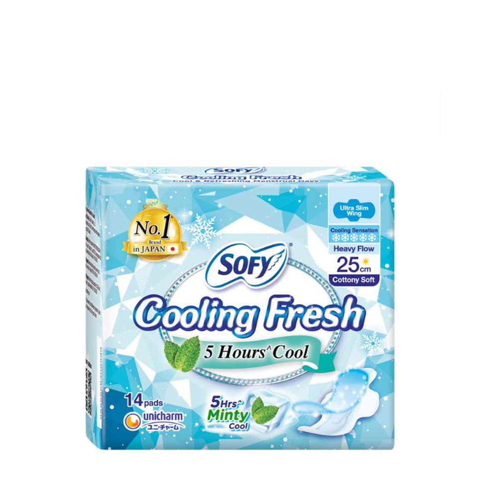 SOFY COOLING FRESH DAY ULTRA SLIM WING 25CM 14S