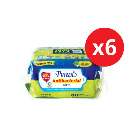 PUREEN ANTI-BACTERIAL WIPES (ABW 2080) 80S x 12