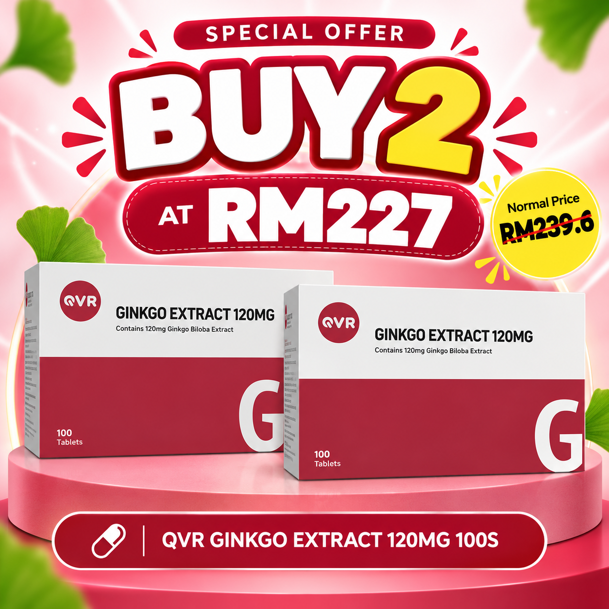 QVR GINKGO EXTR 120MG 100S x2