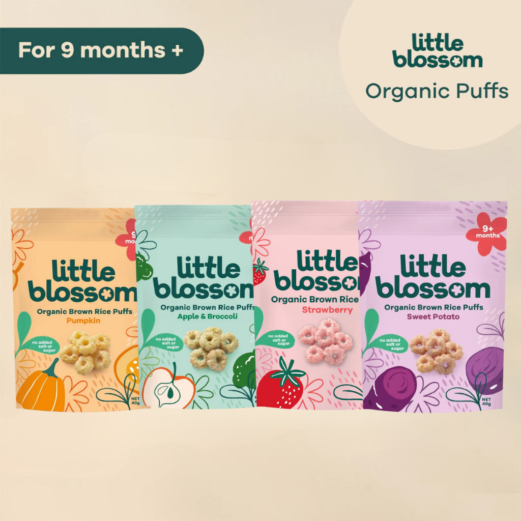 LITTLE BLOSSOM RICE PUFFS STRAWBERRY 40G