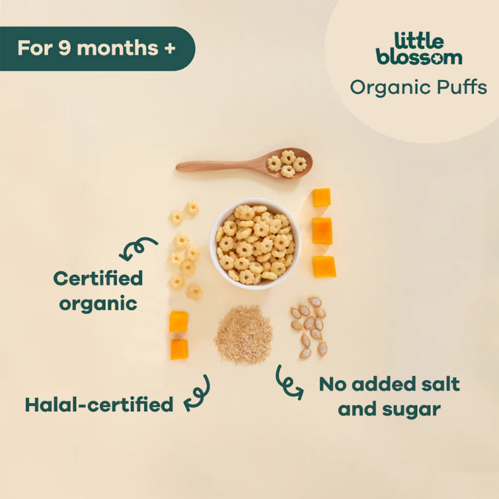 LITTLE BLOSSOM RICE PUFFS PUMPKIN 40G