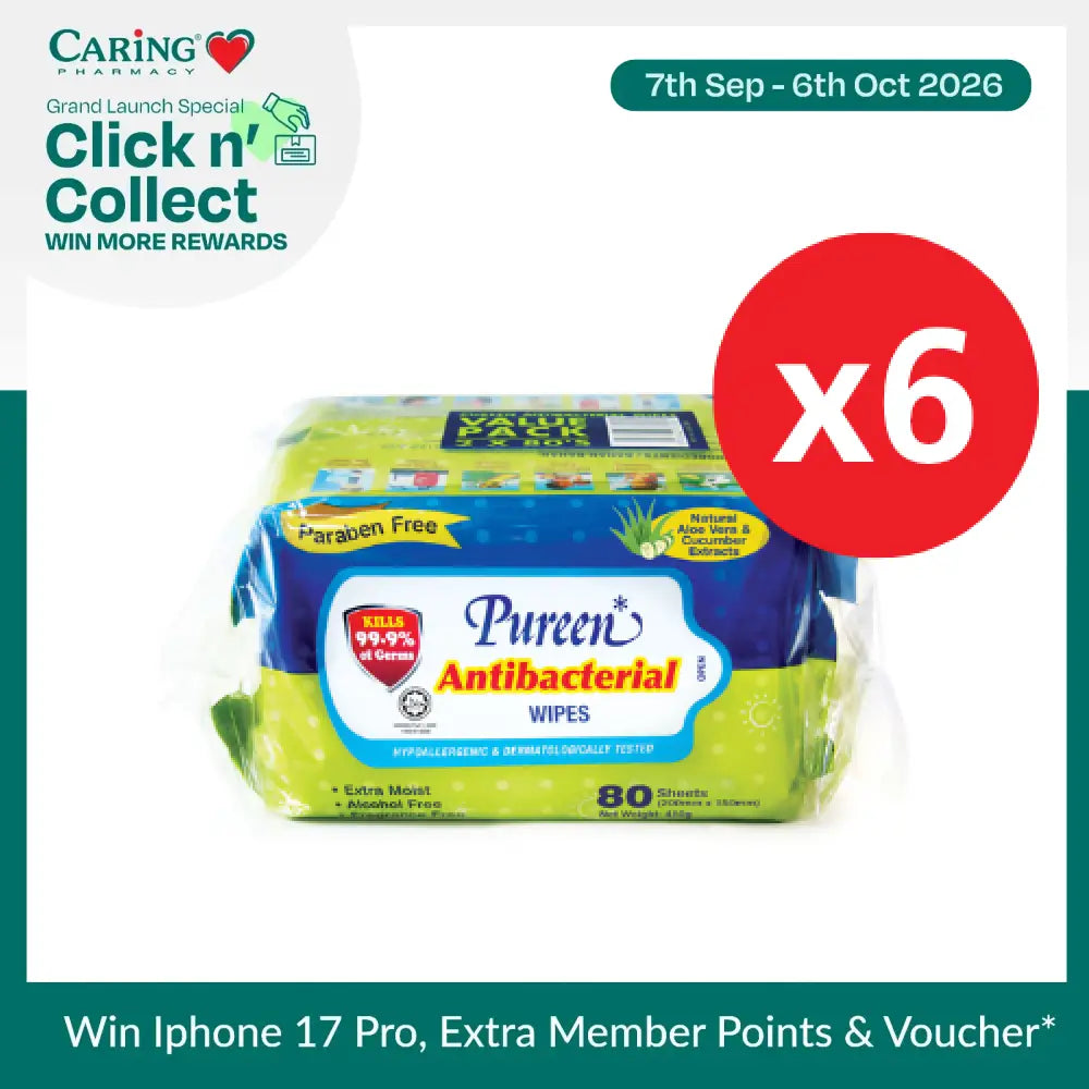 PUREEN ANTI-BACTERIAL WIPES (ABW 2080) 80S x 12