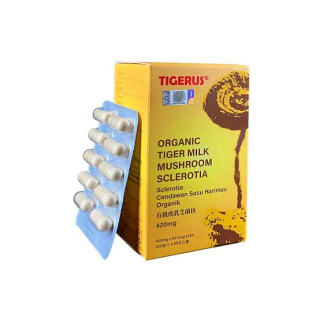 TIGERUS Organic Tiger Milk Mushroom Supplement in capsule form with 420mg Sclerotia packaging